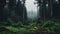 Enchanting Foggy Forest: A Dark Green European Fairytale Scene