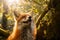Enchanting Forest Encounter: Cheerful Fox.