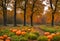 In the enchanting forest, November's Halloween pumpkin harvest unfolds.