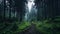 Enchanting Forest Path: Dark Green And Emerald Landscape In 8k Resolution