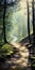 Enchanting Forest Path: A Serene Journey Through Luminous Landscapes