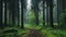 Enchanting Forest Path A Tranquil Journey Through Nature\\\'s Embrace