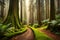 An enchanting forest scene with massive sequoia trees, their colossal trunks covered in soft moss, creating a scene of quiet