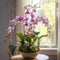 Enchanting Garden of Exotic Orchids