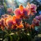 Enchanting Garden of Exotic Orchids