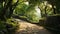 Enchanting Green Stone Path Through Ancient Greek Forest