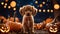 An enchanting Halloween puppy with a miniature broomstick, surrounded by a circle of carved jack-o-lantern