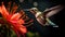 Enchanting Hummingbird Hovering on Vibrant Flowers - Nature\\\'s Aerial Ballet in a Captivating Shot.