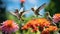 Enchanting Hummingbirds Amidst Vibrant Flower Garden