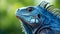 Enchanting Iguana: A Unique Insurance Profile in Vibrant Hues of