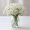 Enchanting image of a delicate baby\'s breath flower elegantly arranged in a vase.