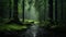 Enchanting Image Of A Misty Dark Forest Stream