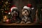 An enchanting image of pets dressed as Santa\\\'s elves.