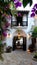 Enchanting lantern lit courtyard with lush greenery, colorful flowers, and traditional charm