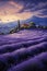 Enchanting Lavender Dreams: A Virtual Journey Through a Mountain