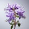 Enchanting Macro Photograph Of Columbine Meadow Sage On White Background