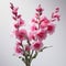 Enchanting Macro Photograph Of Meadow Sage On White Backdrop