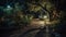 Enchanting Moonlit Garden Path: A Captivating Photoshoot with Sony A9 & 35mm Lens