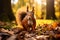 Enchanting Morning: Squirrel in Chestnut Fur Collecting Acorns in Scenic Park