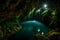 Enchanting Nighttime Forest with Illuminated Cavern and Lush Foliage