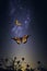 Enchanting Nocturnal Beauty Captivating Night Sky, Stars, and Flying Butterflies