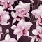 Enchanting Orchid Magic Seamless Design