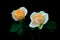 Enchanting pair of delicate peach roses against black backdrop
