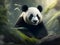 Enchanting Panda Haven: Captivating Panda Artwork