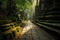 Enchanting Pathway to Ancient Temple: A Tranquil Journey through Natures Embrace