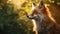 Enchanting Photorealistic Wildlife Muralism: A Red Fox In Golden Light