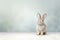 Enchanting Rabbit in Pastel Haven, Radiating Absolute Adorableness