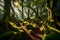 Enchanting Rainforest: Sunlit Trees and Lush Greenery