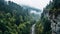 Enchanting Rainy Ravine With Deciduous Trees And Firs