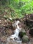 Enchanting rapid and high waterfalls fall from a beautiful mountain