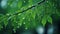 Enchanting Realms: Green Leaves With Water Droplets Wallpaper