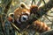 Enchanting red panda in bamboo tree photorealistic moonlit scene with detailed textures