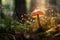 Enchanting scene of glowing mushroom in magical forest with mystical wizardly backdrop