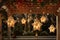 Enchanting starshaped lanterns hanging in a