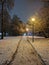 In the enchanting stillness of the evening, the city park comes to life with a fresh layer of snow