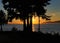 Enchanting Sunset Behind A Couple Of Trees At Stanley Park In Vancouver