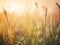 Enchanting Sunset Wild Grass: Macro Photography in the Forest with Shallow Depth of Field.