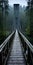 Enchanting Suspension Bridge Through A Moody Forest Path