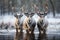 Enchanting symmetry as three reindeer gather by a frozen pond, christmas background, AI Generated