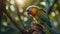 Enchanting Symphony A Colorful Parrot in the Magical Forest, Basking in Warm Sunlight Amidst Vivid