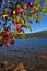 Enchanting to summer lake scene in san martin de los andes and lolog lake views. Colorful autumn scene of th