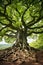 Enchanting tree with intricate roots and lush foliage