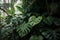 Enchanting Tropical Paradise Exploring the Green Jungle.AI Generated