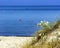 Enchanting views in the `Dune Costiere ` Park