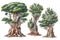 Enchanting Watercolor Yew Tree Forest Collection .