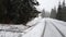 Enchanting winter scene in a forest with melting snow falling off the trees. winter forest road in heavy snowfall